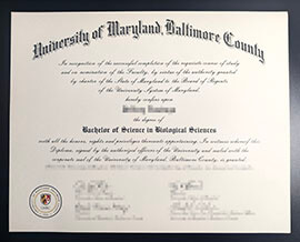 purchase realistic University of Maryland Baltimore County degree