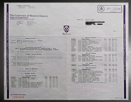 purchase realistic University of Western Ontario Transcript