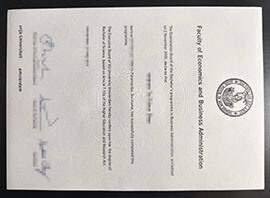 purchase realistic Vrije Universiteit Amsterdam degree