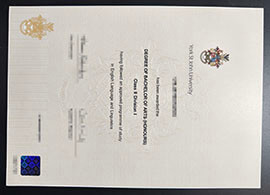 purchase realistic York St John University degree