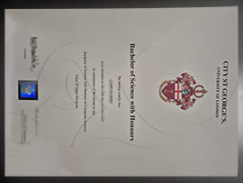 purchase realistic City St George's University of London degree
