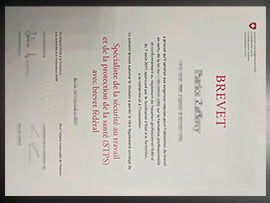 purchase a realistic Confederazione Svizzera Brevet