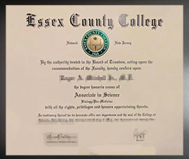 purchase realistic Essex County College degree