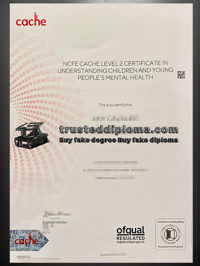 purchase realistic Ncfe Cache Level 2 Certificate