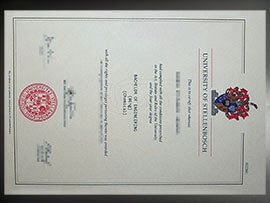 purchase realistic University of Stellenbosch degree