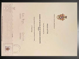 purchase realistic York St John University degree