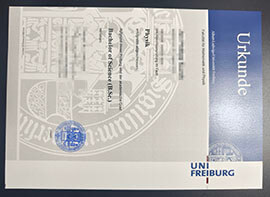 purchase realistic Albert Ludwigs Universität Freiburg Urkunde