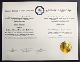 purchase realistic American University of Culture & Education degree