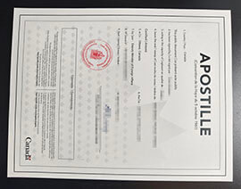 purchase realistic Apostille Canada certificate