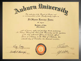 purchase realistic Auburn University degree
