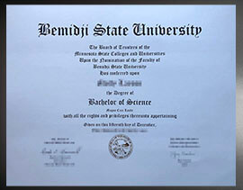 purchase realistic Bemidji State University degree