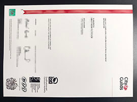 purchase realistic City & Guilds NVQ Level 3 diploma in Electrical Equipment Installation