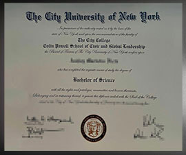 purchase realistic Colin Powell School for Civic and Global Leadership degree