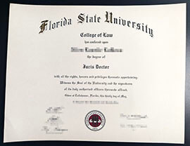 purchase realistic Florida State University College of Law degree