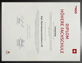 purchase realistic HSO Wirtschafts und Informatikschule diploma