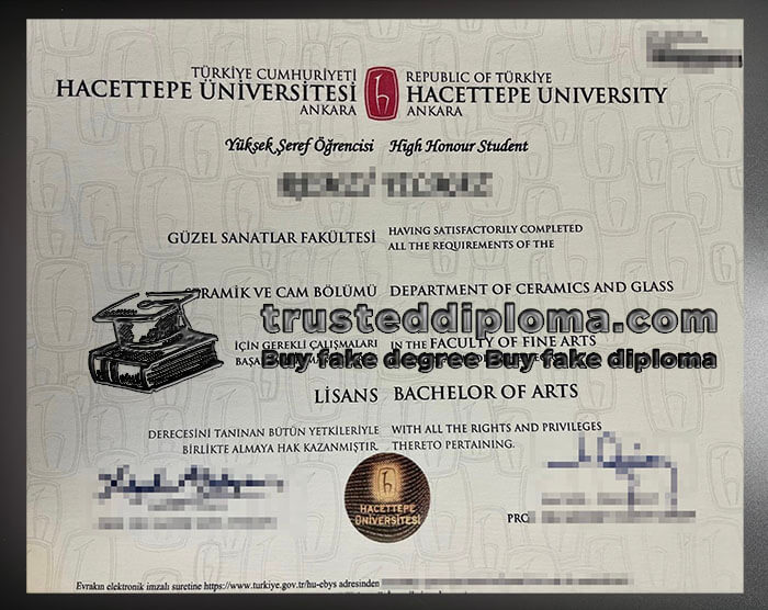 purchase realistic Hacettepe University diploma