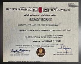 purchase realistic Hacettepe University degree