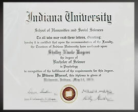 purchase realistic Indiana University School of Humanities and Social Sciences degreee