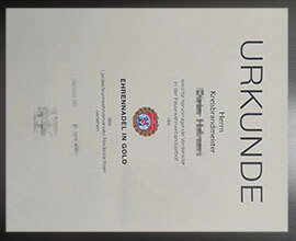 purchase realistic LFV Niedersachsen certificate