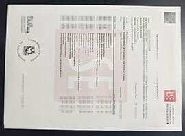 purchase realistic London School of Economics Transcript