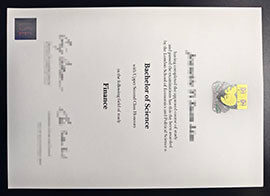 purchase realistic London School of Economics degree