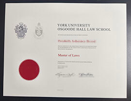 purchase realistic Osgoode Hall Law School degree