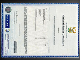 purchase realistic South Africa National Senior Certificate