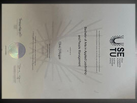 purchase realistic South East Technological University degree