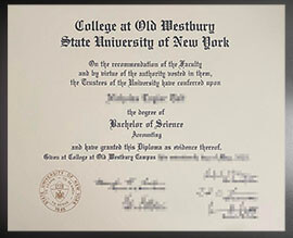 purchase realistic State University of New York at Old Westbury degree