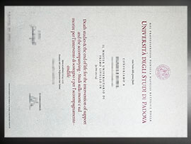 purchase realistic Universita Degli Studi di Padova degree