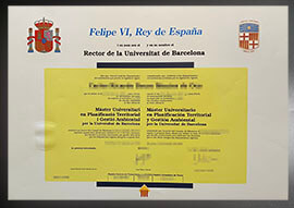 purchase realistic Universitat de Barcelona degree