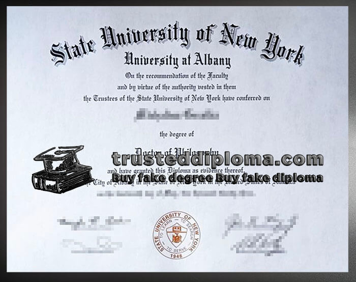 purchase realistic University at Albany, SUNY diploma