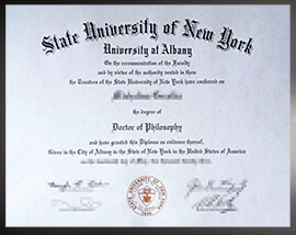 purchase realistic University at Albany, SUNY degree