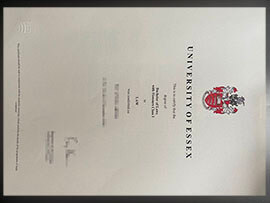 purchase realistic University of Essex degree