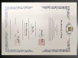 purchase realistic University of Tokyo degree