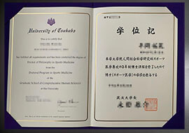 purchase realistic University of Tsukuba degree
