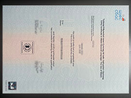 purchase realistic WJEC Emtry Certificate in Welsh Second Language