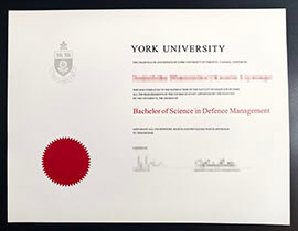 purchase realistic York University degree