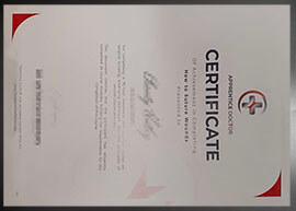 purchase realistic Apprentice Doctor Certificate