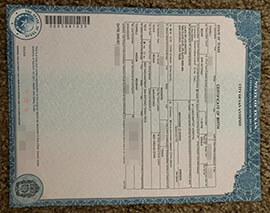 purchase realistic City of San Antonio Certificate of Birth