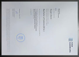 purchase realistic Hamburg University of Applied Sciences degree