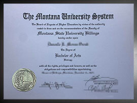 purchase realistic Montana University System degree