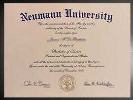 purchase realistic Neumann University degree