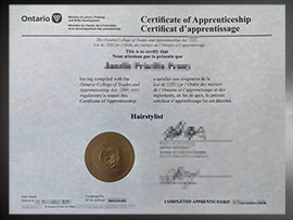purchase realistic Ontario Ministry of Labour Training and Skills Development Certificate