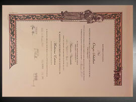 purchase realistic University of Rome Tor Vergata degree