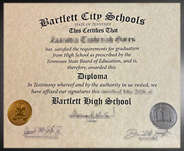 purchase realistic Bartlett City School degree