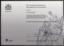 purchase realistic CGMA Certificato certificate