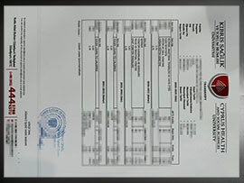 purchase realistic Cyprus Health and Social Sciences University Transcript