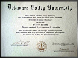 purchase realistic Delaware Valley University degree