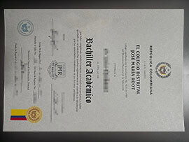 purchase realistic El Colegio Distrital Jose Maria Root degree